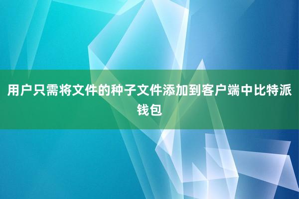 用户只需将文件的种子文件添加到客户端中比特派钱包