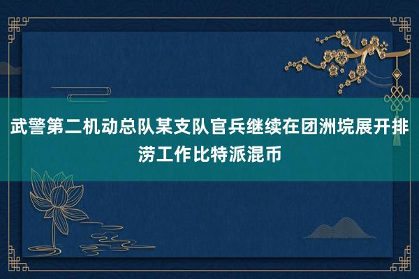 武警第二机动总队某支队官兵继续在团洲垸展开排涝工作比特派混币