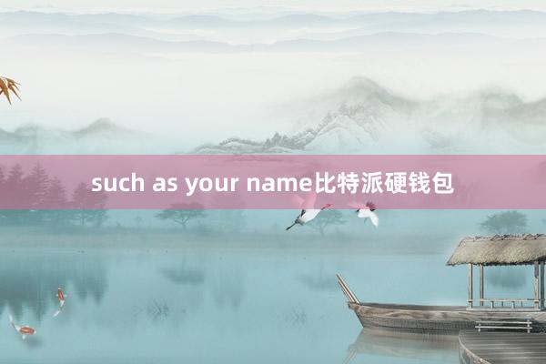 such as your name比特派硬钱包