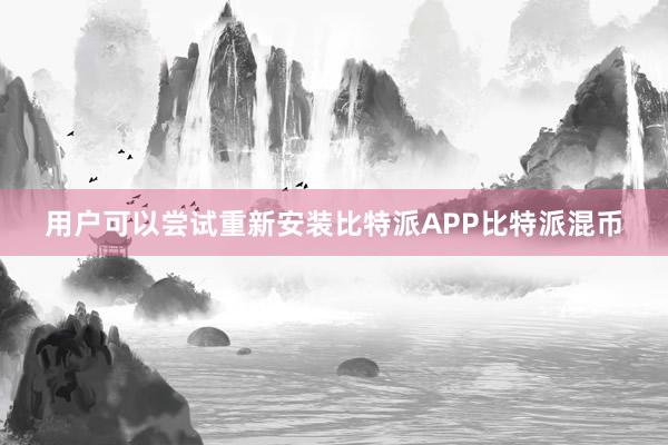 用户可以尝试重新安装比特派APP比特派混币