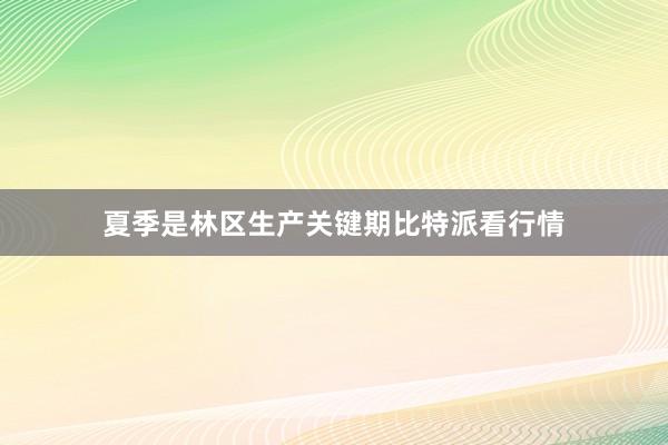 夏季是林区生产关键期比特派看行情