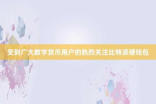 受到广大数字货币用户的热烈关注比特派硬钱包