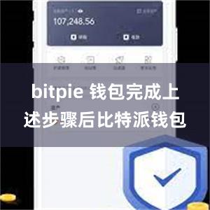 bitpie 钱包完成上述步骤后比特派钱包