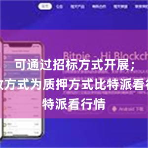 可通过招标方式开展；发放方式为质押方式比特派看行情